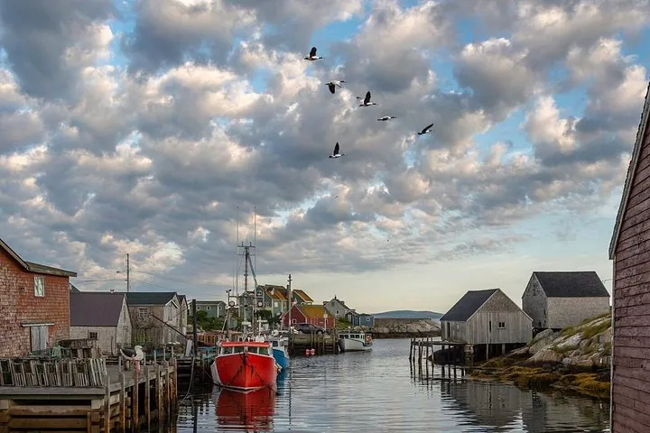 Boote, die in einem Küstendorf vertäut sind, während Vögel bei bewölktem Himmel über ihnen fliegen.